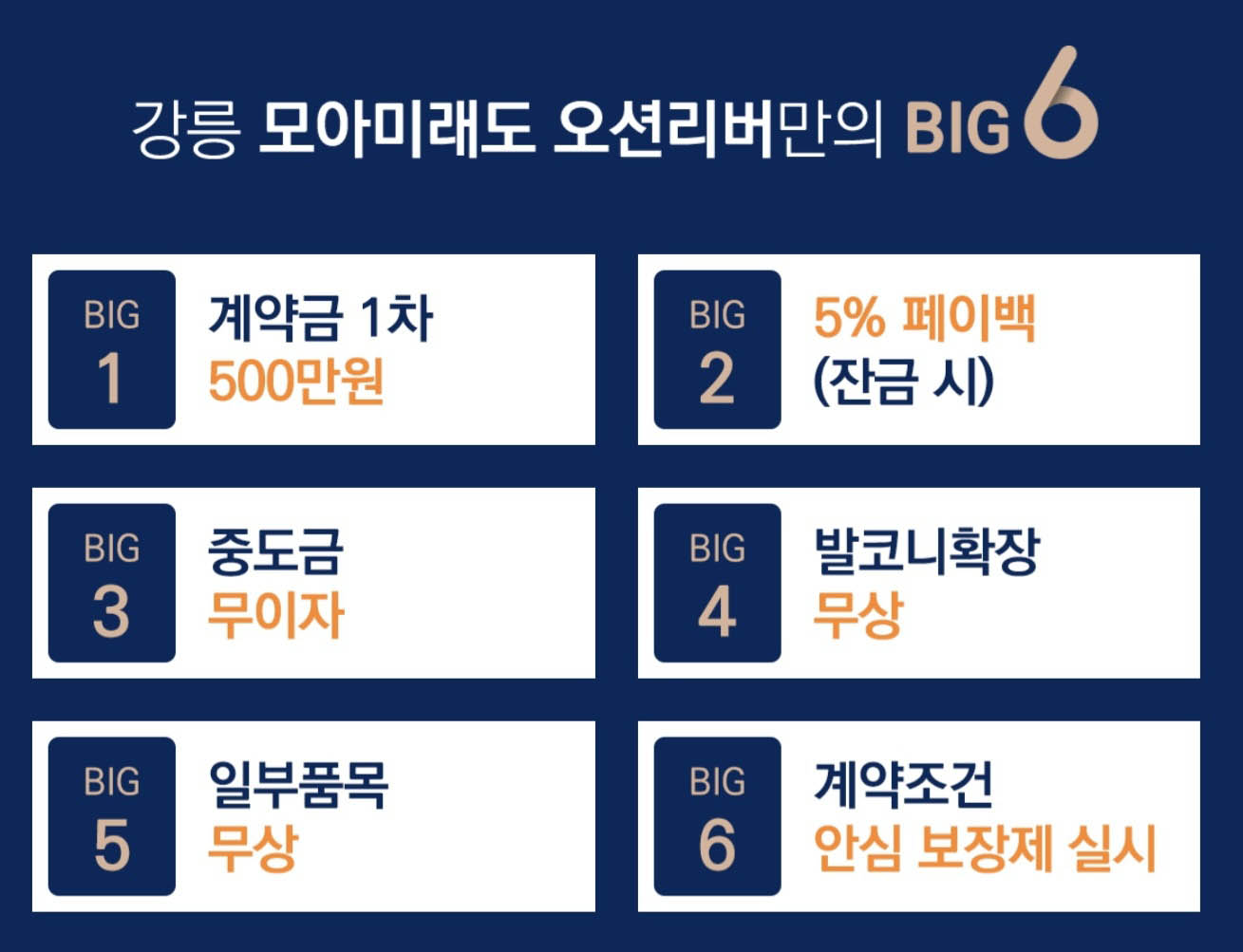 빅6